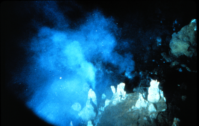 Minerals venting from the seafloor, provide chemosynthetic sustenance for bacteria, some of Earth's earliest life,