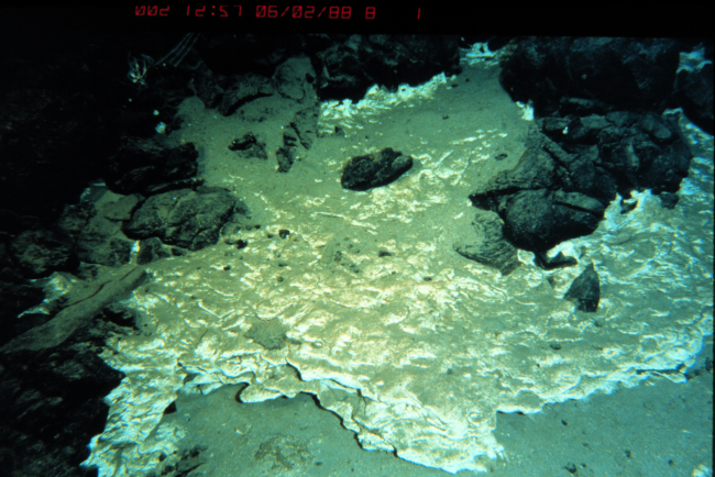 Cemented ash and talus at a depth of 755 m off Hawaii