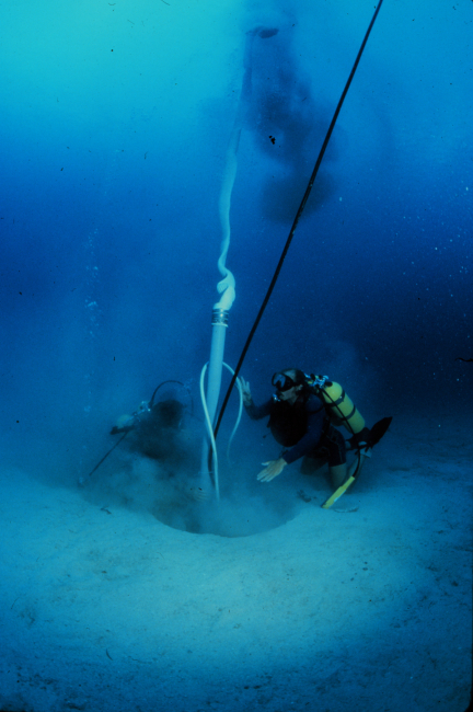 Divers use a suction sampler to collect animals living in the sand