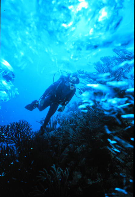 Bubbles frame diver cruising a coral reef