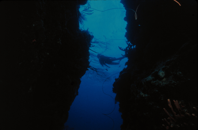 Coral reef chasm frames underwater photographer