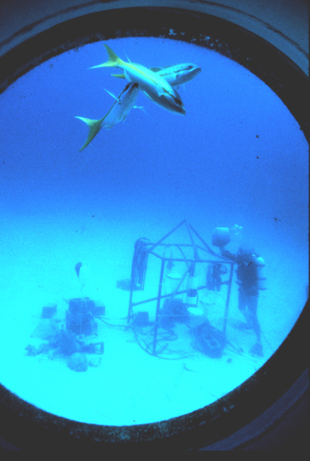 Aquanauts deploy experiment outside HYDROLAB