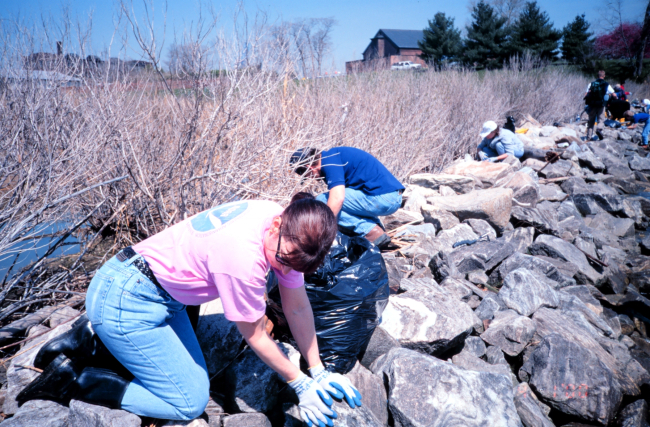 Penny Dalton, former Assistant Administrator for NOAA Fisheries, cleans trashand debris from the rip rap around the perimeter of the wetlands at Ft McHenry