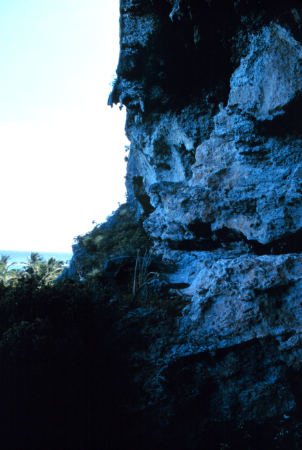 The limestone cliffs at Mona Island