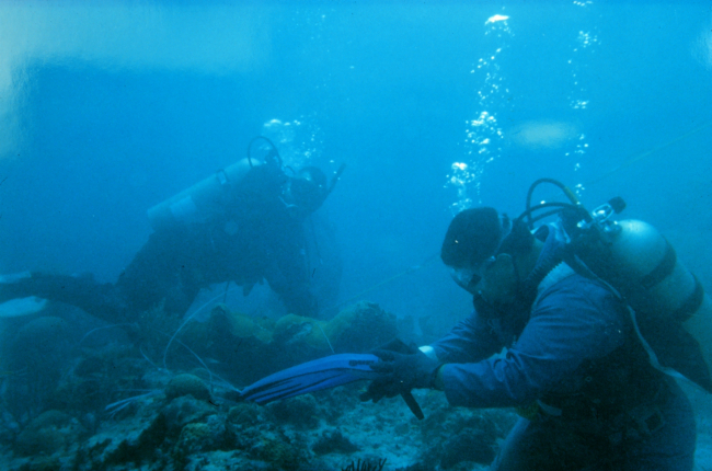 A diver replaces gear before continuing to work