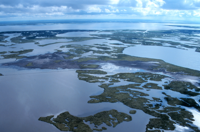 An aerial close-up view of the created wetlands with a prominent lobe in theforeground