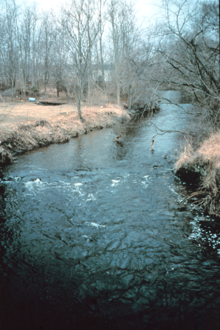 A view of Mussachuck Creek, the creek runs east to west