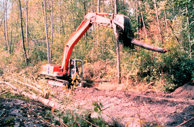 A crane places root wads in the channel that was constructed as a part of therestoration