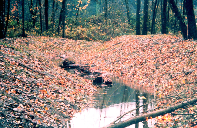 A section of the upper channel with large woody debris placed in the newlyconstructed channel