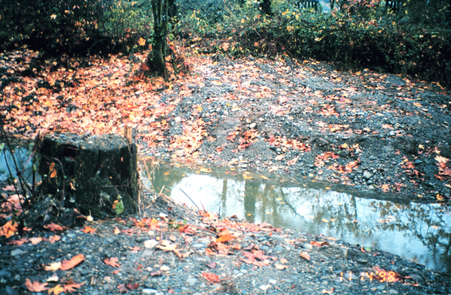 A typical segment of restored channel between ponds