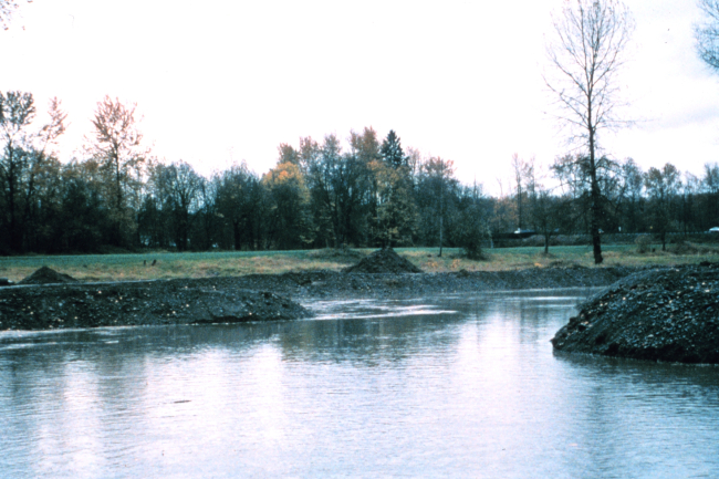 The lower region of Haskell Slough