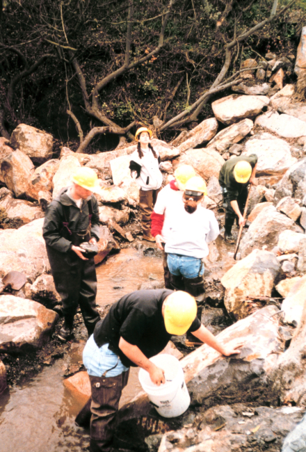 Student volunteers from the United Anglers work in the creek to clear it ofdebris
