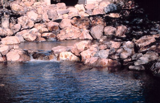 The completed fish pools, this image clearly shows how easily fish can nownavigate the creek