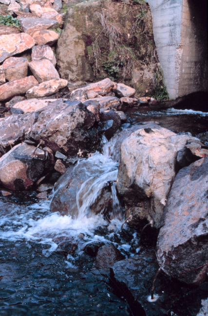 Water flows over the fish-step pools