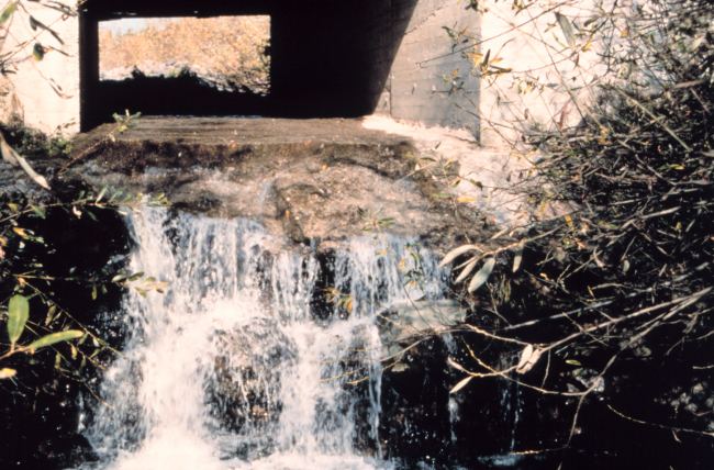 The extreme drop at the culvert was eliminated by the restoration