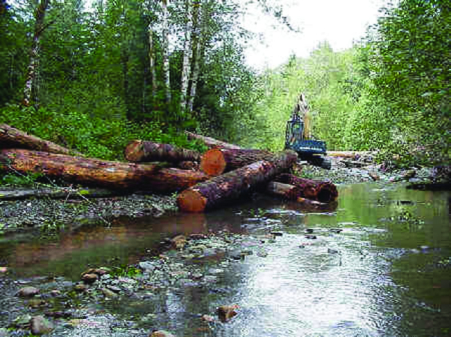 An excavator places logs in the stream to create a log jam