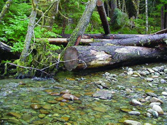 A completed log jam