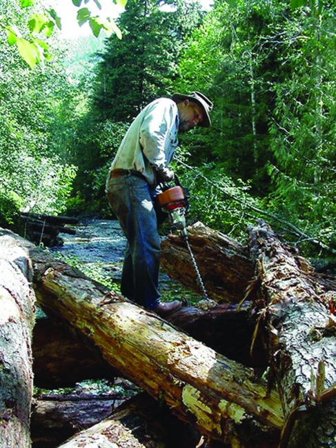 A member of the Skagit Fisheries Enhancement Group cuts holes to place cablein the logs