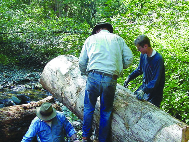 Skagit Fisheries Enhancement members secure the logs with cable