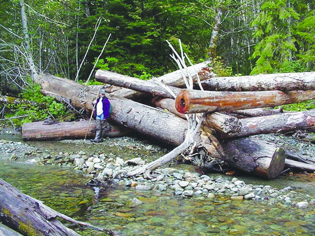 This image shows the huge size of the log jams at the Finney Creek restorationsite