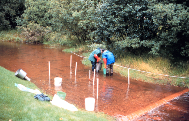 Scientists monitor the gravel composition and levels of dissolved oxygen in thecreek