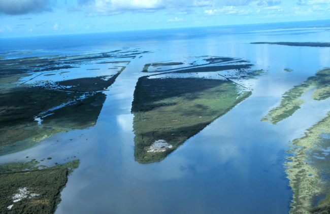 An aerial view of the created wetlands several months after dredging