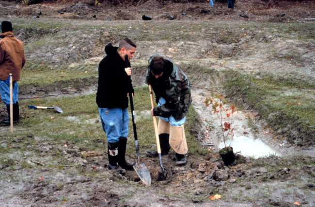Two students dig a hole in preparation to plant potted wetland species at therestoration site
