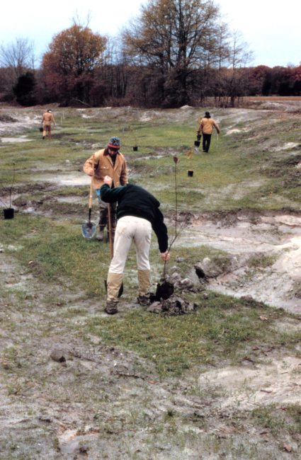Volunteers plant near the newly restored stream bank where meanders have beenadded
