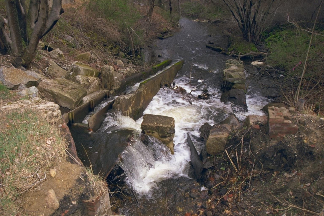 The existing dam on the downstream side at the Town Brook restoration site