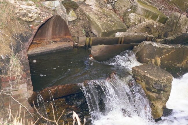 Another view of the dam at the Pilgrim Trail restoration site