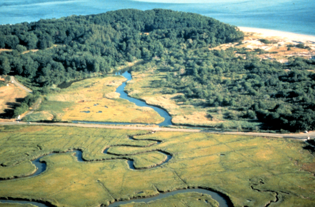 An aerial view of the Argilla Road salt marsh, looking upstream prior torestoration