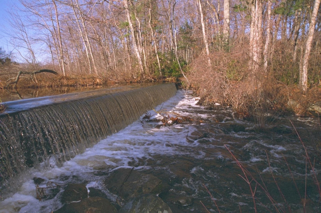 This image shows the height of the dam at Parker River before restoration