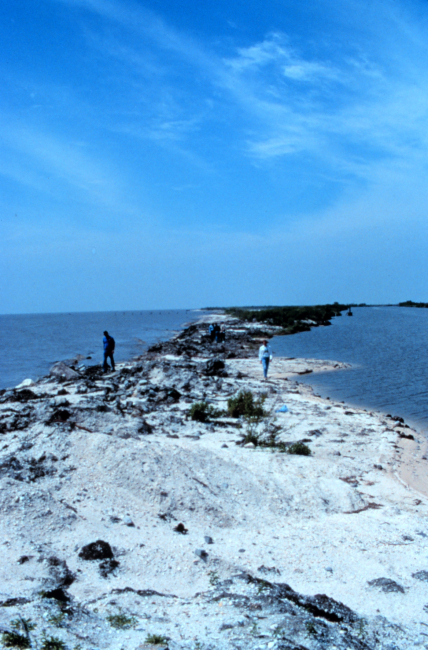 Area 1; a southeast view of the narrowest section of beach showing evidence ofoverwashing