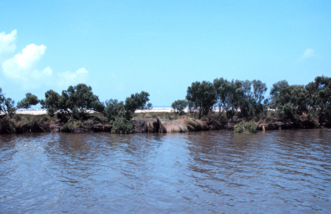A view from Mobile Canal toward the Gulf of Mexico with the protectiverock in the background on the beach