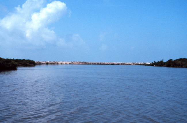 A view from Locust Bayou stub canal toward the Gulf of Mexico