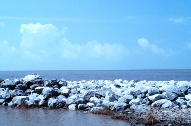A view from Mobile Canal toward the Gulf of Mexico, rock on the beach
