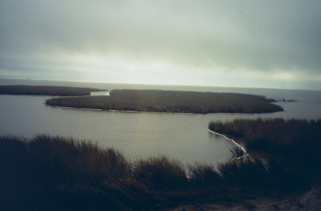 The islands after the booms were placed to prevent infiltration of oil intothe marsh habitats