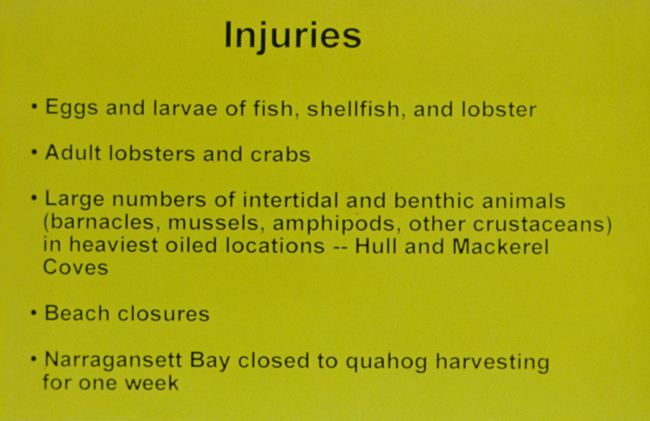 A slide depicting the resources injured during the oil spill