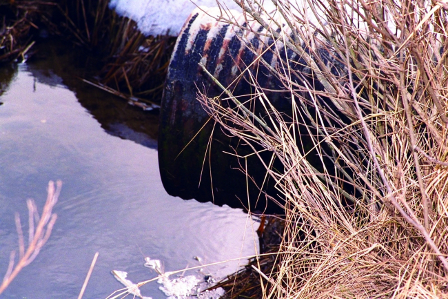 A close - up of the culvert that will be replaced to enhance anadromous fishhabitat