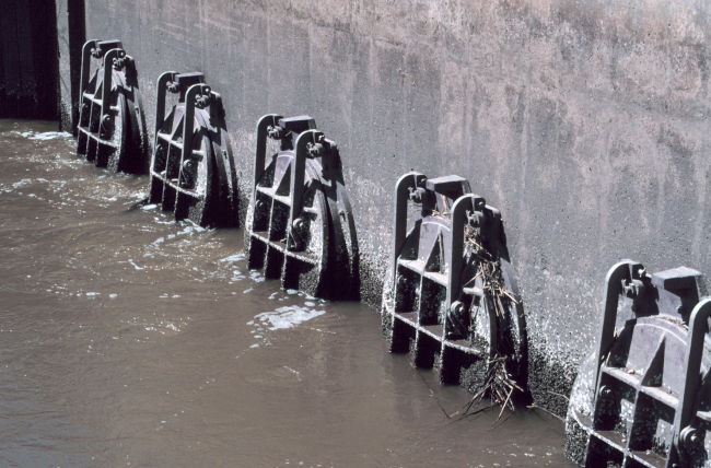 A close-up view of the tide gate from the Delaware River side shows the flatvalves near low tide