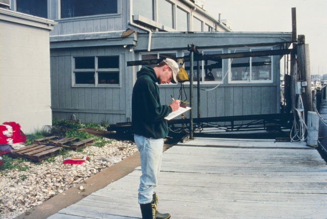 A worker records data about the quahog harvest transferred from Greenwich Bayinto the spawner sanctuaries