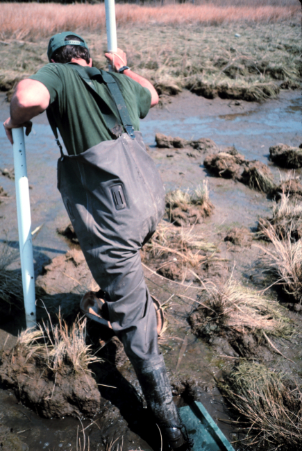 Dave Meyer tries to navigate a marsh using a marsh boot