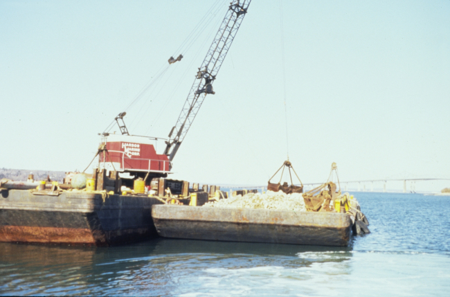 The reef construction operation