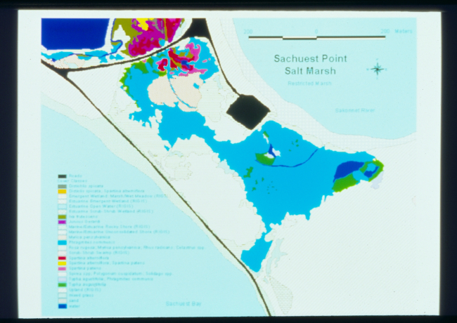 A schematic that shows the restricted side of the marsh at Sachuest Point