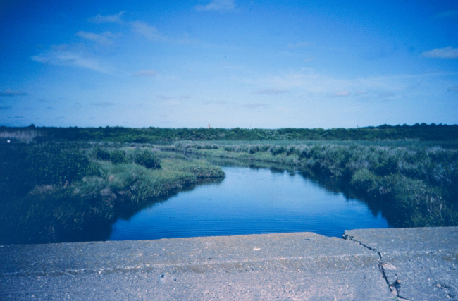 The main tidal creek of Maidford River that enters Sachuest Marsh nearThird Beach
