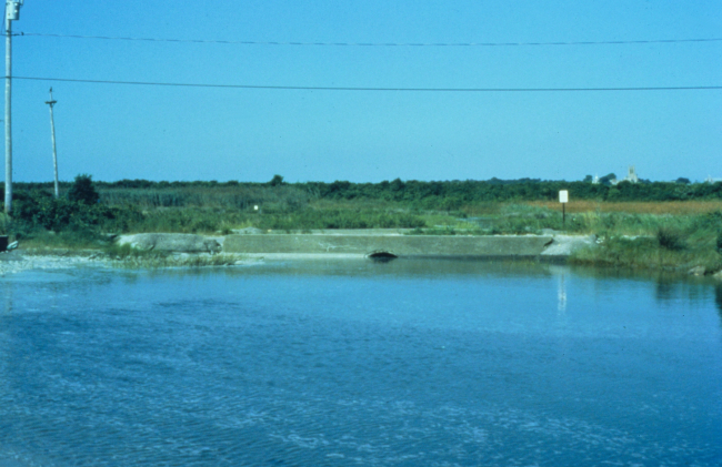 A main tidal creek