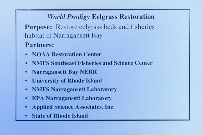 A slide describing the purpose of the eelgrass restoration and its partners