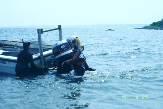 NOAA scientists prepare to receive trays of eelgrass turf for transplanting atone of the sites