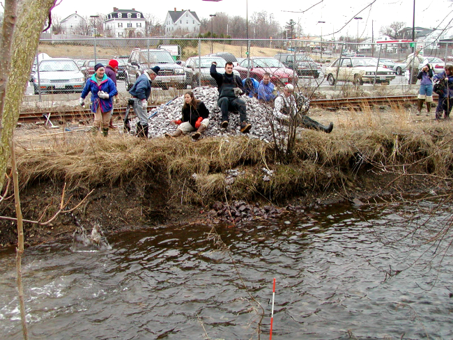 Cobble habitat is tossed into North River to replace storm water sedimentson the river bottom