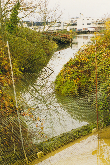 Hamm Creek, a Coastal America project to clean channel to provide better habitatconditions for spawning salmon